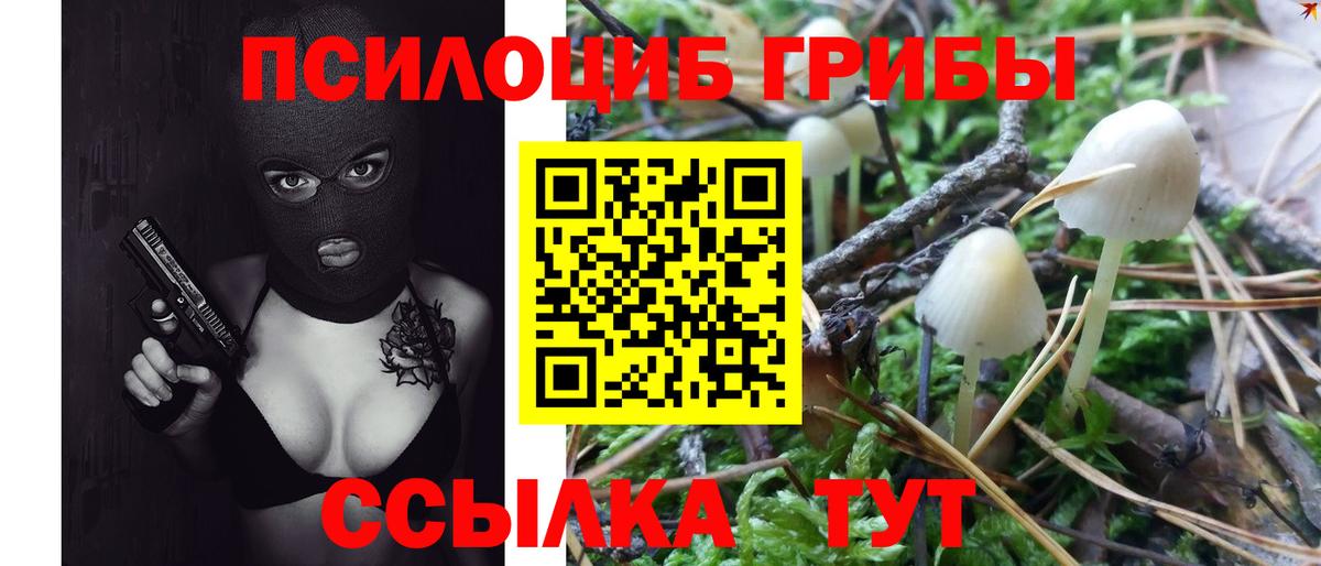 Галлюциногенные грибы мицелий Салават